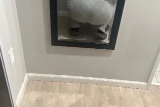 💵 GREEK GODDESS🎂✅💵VERIFICATION REQUIRED !!! - Image 2